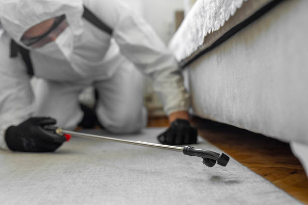 Professional Termite Control technician working in Dallas, NC