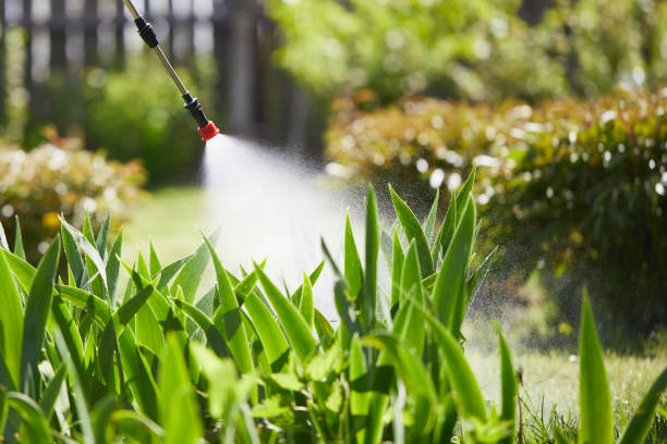 24/7 Emergency Termite Control experts in Dallas, NC